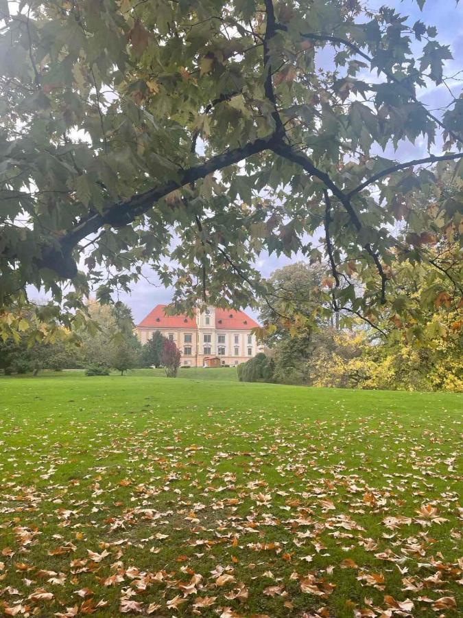 Apartman Tea Valpovo Buitenkant foto